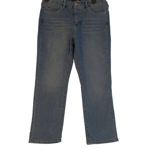 D. Jeans Womens Jeans Blue Size 14 Cotton Blend Button Zip Pockets Stretch